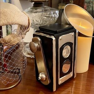 Pink Zebra Vintage Style Camera Shade